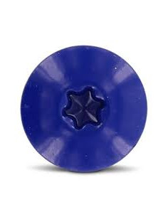Gevelschroef TORX T20 4.8X38 kopdiameter 12.3 RVS A2 RAL5002 2