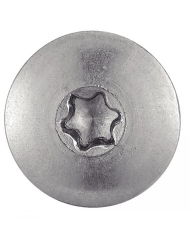 1 x Gevelschroef TORX T20 5,5X70 kopdiameter...