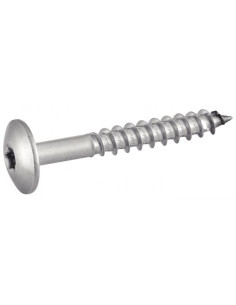 Gevelschroef TORX T20 5.5X45 kopdiameter 12.3 RVS A2