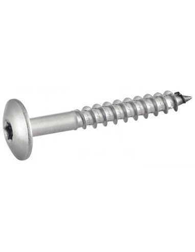 1 x Gevelschroef TORX T20 5.5X45 kopdiameter...