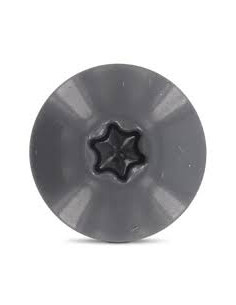 Gevelschroef TORX T20 4.8X38 kopdiameter 12.3 RVS A2... 2