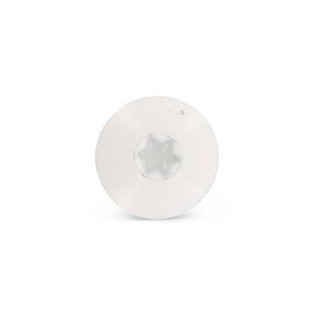 1 x Gevelschroef TORX T20 4.8X32 kopdiameter 12.3 RVS A2 RAL9010 zuiver wit