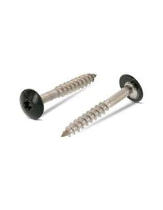 Gevelschroef TORX T20 4.8X38 kopdiameter 12.3 RVS A2...