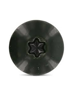 Gevelschroef TORX T20 4.8X38 kopdiameter 12.3 RVS A2... 2