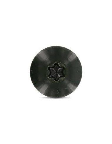 1 x Gevelschroef TORX T20 4.8X38 kopdiameter...