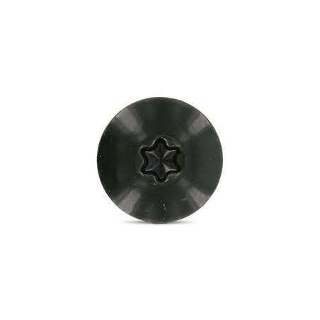 1 x Gevelschroef TORX T20 4.8X38 kopdiameter 12.3 RVS A2 RAL6009 dennengroen