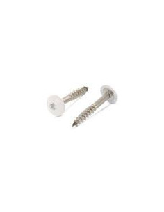 Gevelschroef TORX T20 4.8X38 kopdiameter 12.3 RVS A2...