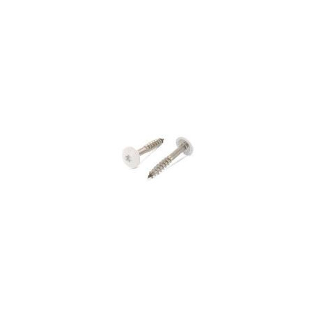 1 x Gevelschroef TORX T20 4.8X38 kopdiameter 12.3 RVS A2 RAL1013 parelwit
