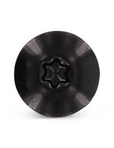 Gevelschroef TORX T20 4.8X38 kopdiameter 12.3 RVS A2... 2