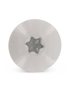 Gevelschroef TORX T20 5.5X35 kopdiameter 12.3 RVS A2 RAL7038 2