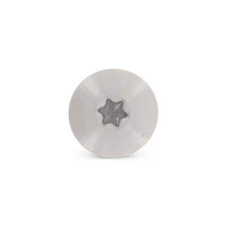 1 x Gevelschroef TORX T20 5.5X35 kopdiameter 12.3 RVS A2 RAL7038