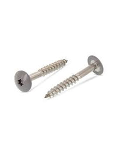 Gevelschroef TORX T20 5.5X38 kopdiameter 12.3 RVS A2 RAL7037