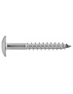 Gevelschroef TORX T20 4.8X60 kopdiameter 12.3 RVS A2 2