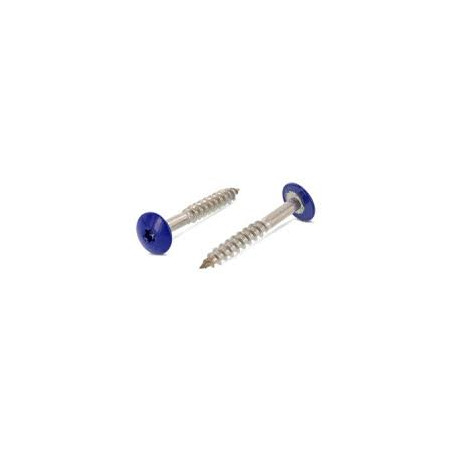 1 x Gevelschroef TORX T20 4.8X25 kopdiameter 12.3 RVS A2 RAL5002