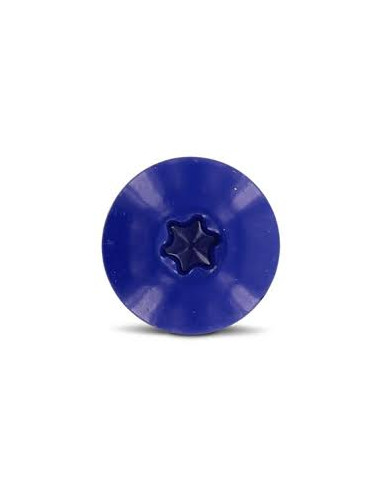 1 x Gevelschroef TORX T20 4.8X25 kopdiameter...