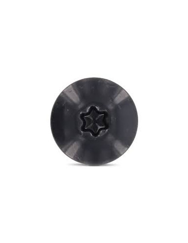 1 x Gevelschroef TORX T20 5.5X35 kopdiameter...