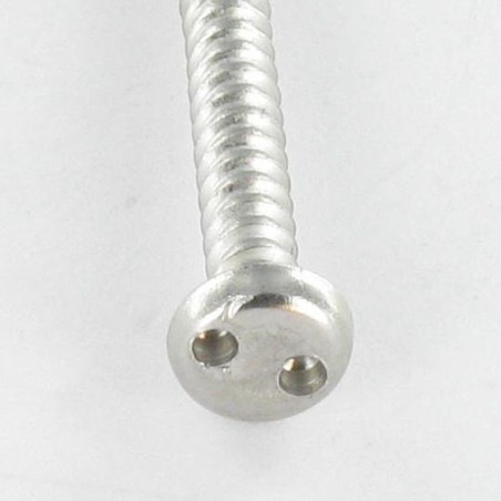1 x Metaalplaatschroef Onbreekbaar cilindrische kop SNAKE EYES 4.8X50 RVS A2