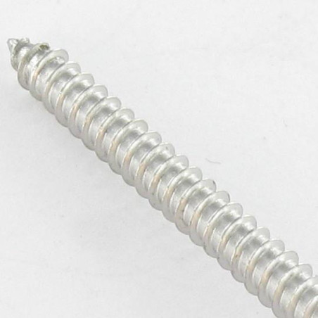 1 x Metaalplaatschroef Onbreekbaar cilindrische kop SNAKE EYES 4.2X25 RVS A2