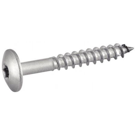 1 x Gevelschroef TORX T20 4.8X38 kopdiameter 12.3 RVS A2