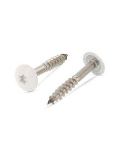 Gevelschroef TORX T20 5.5X35 kopdiameter 12.3 RVS A2...