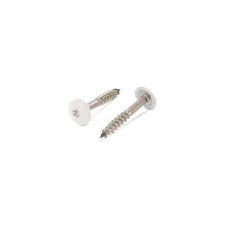 1 x Gevelschroef TORX T20 5.5X35 kopdiameter 12.3 RVS A2 RAL9010 zuiver wit