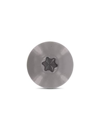 1 x Gevelschroef TORX T20 4.8X25 kopdiameter...