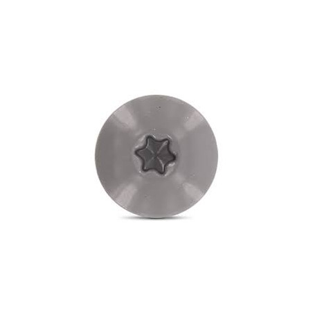 1 x Gevelschroef TORX T20 4.8X25 kopdiameter 12.3 RVS A2 RAL7037