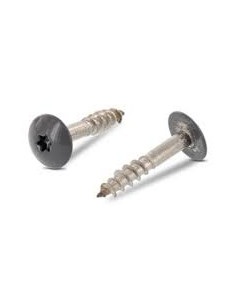 Gevelschroef TORX T20 5.5X35 kopdiameter 12.3 RVS A2...