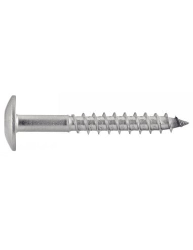 1 x Gevelschroef TORX T20 5.5X38 kopdiameter...