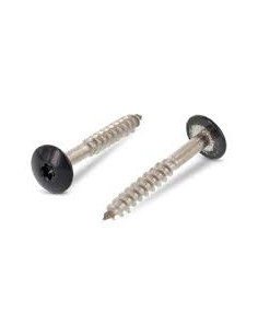 Gevelschroef TORX T20 5.5X38 kopdiameter 12.3 RVS A2...