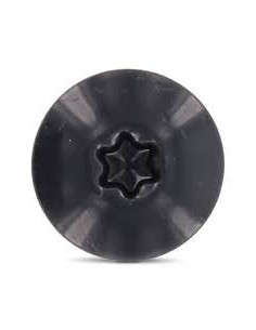 Gevelschroef TORX T20 5.5X38 kopdiameter 12.3 RVS A2... 2