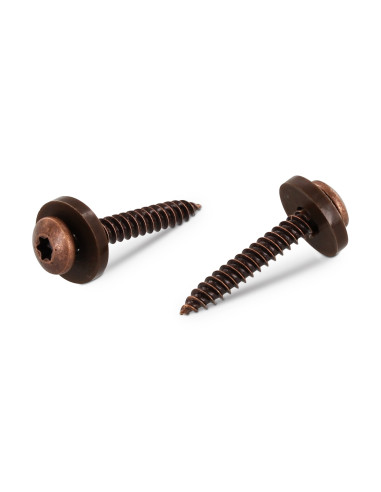 1 x Metaalplaatschroef cilindrische kop TORX...