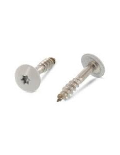 Gevelschroef TORX T20 4.8X38 kopdiameter 12.3 RVS A2 RAL7038