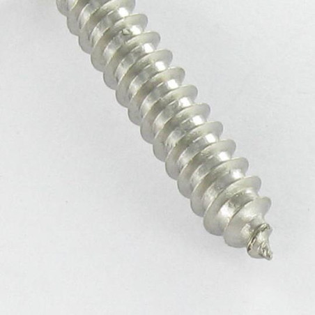 1 x Metaalplaatschroef Onbreekbaar gefreesde kop SNAKE EYES 4.8X38 RVS A2
