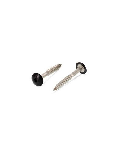 1 x Gevelschroef TORX T20 4.8X25 kopdiameter...