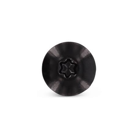 1 x Gevelschroef TORX T20 4.8X25 kopdiameter 12.3 RVS A2 RAL9005 donker zwart