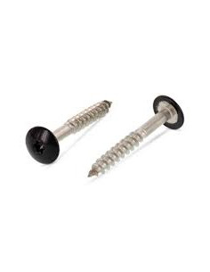 Gevelschroef TORX T20 5.5X38 kopdiameter 12.3 RVS A2...
