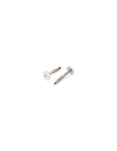 1 x Gevelschroef TORX T20 4.8X25 kopdiameter...