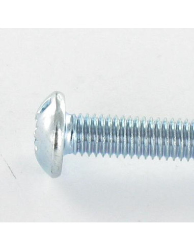 1 x Metalen schroeven kop bollig Groot Pozi PZ8...