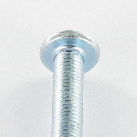 1 x Metalen schroeven kop bollig Groot Pozi PZ8 / split M6X100 Wit verzinkt staal