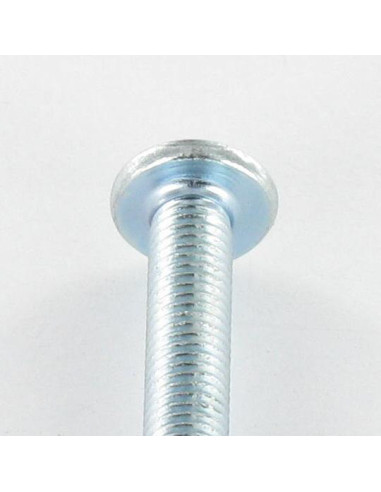 1 x Metalen schroeven kop bollig Groot Pozi PZ8...