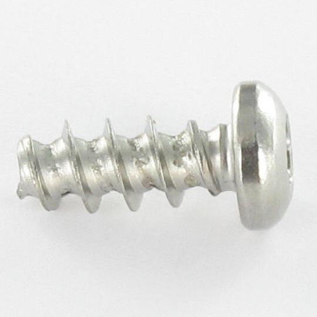 1 x PVC-schroeven bolvormige kopschroef 4X14 TORX T20 RVS A2