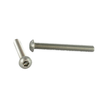 1 x Metalen schroeven Onbreekbaar Zeshoekig hol met pen M5X30 RVS A2