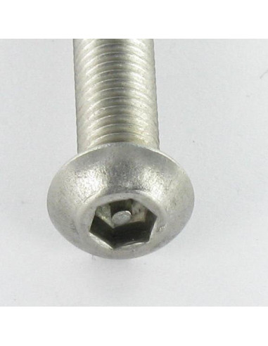1 x Metalen schroeven Onbreekbaar Zeshoekig hol...