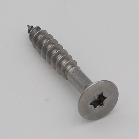 1 x Agglo houtschroeven RVS A2 gefreesde kop 6X40 bedraad op 24 TORX T25