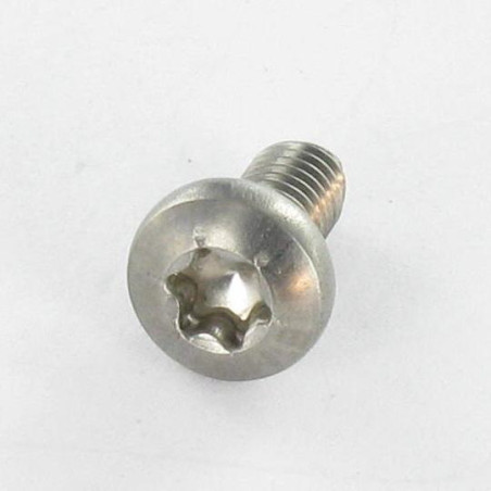 1 x Zelftappende schroef RVS A2 bol cilinderkop TORX 4X8 TORX T20