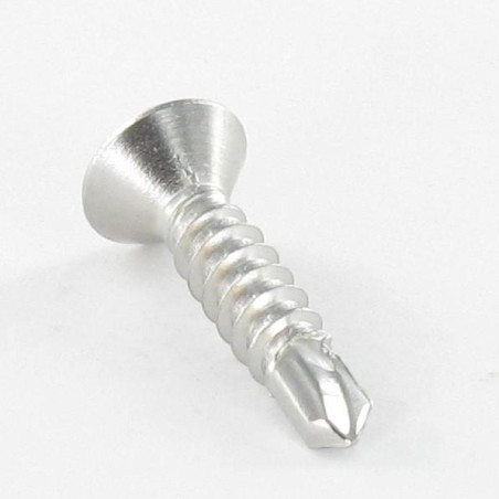 1 x Zelfborende schroef RVS A2 gefreesde kop 5.5X45 TORX T25