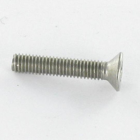 1 x Metalen schroeven RVS A2 Onbreekbaar gefreesde kop TORX T25 met pen M5X40