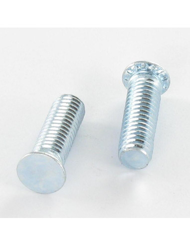 1 x Schroeven om vast te klinken M6X12 Wit...