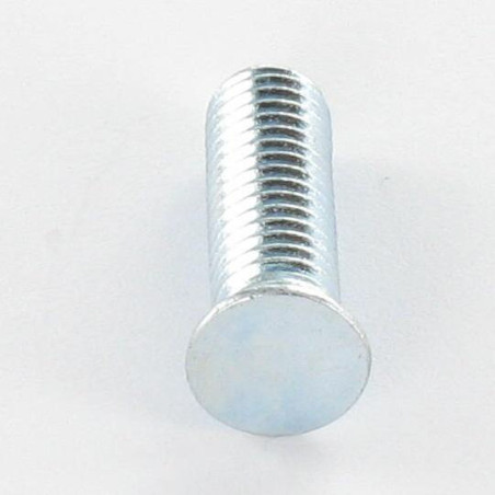 1 x Schroeven om vast te klinken M6X12 Wit verzinkt staal